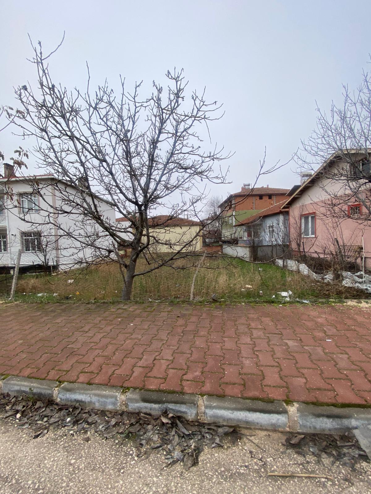 MABEL'DEN SALI PAZARINA YAKIN FIRSAT ARSA